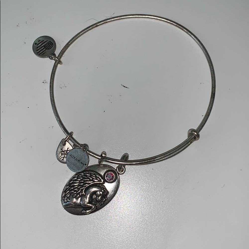 Alex and Ani Bracelet